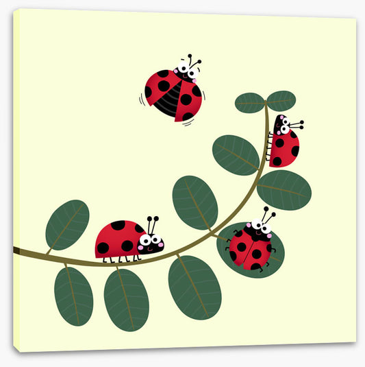 Ladybug leaves