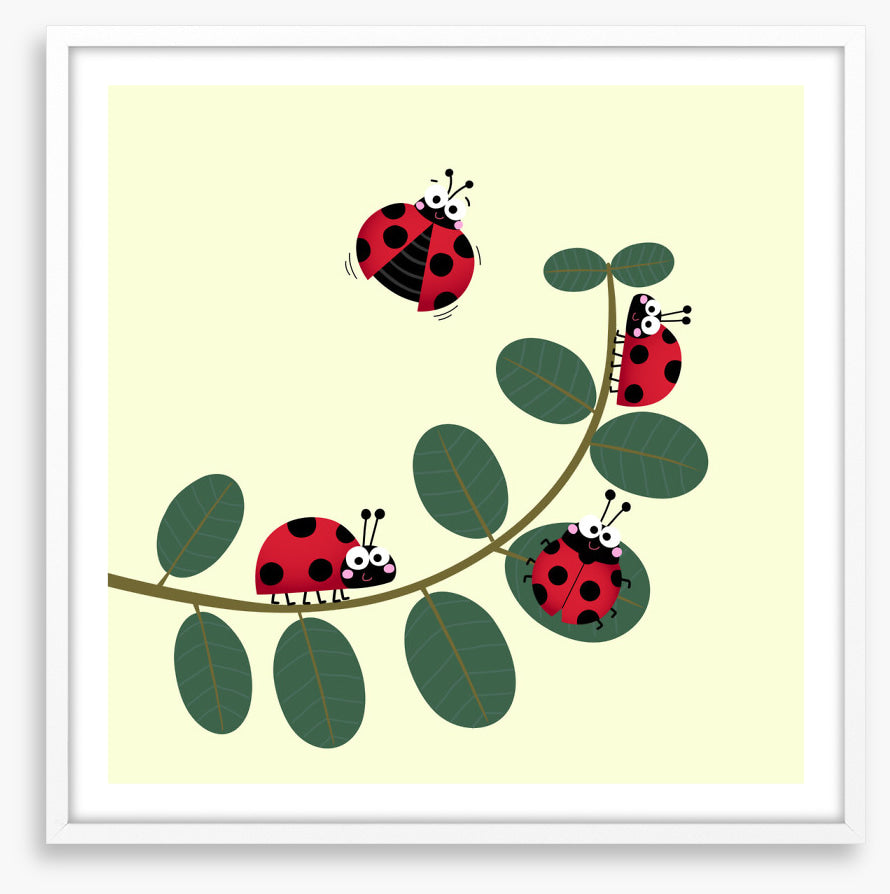 Ladybug leaves
