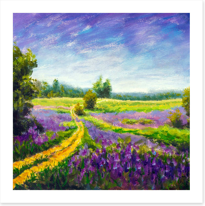 Purple meadow path