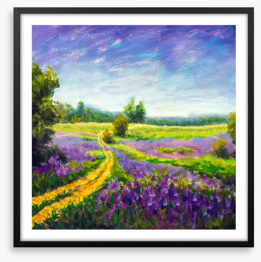 Purple meadow path