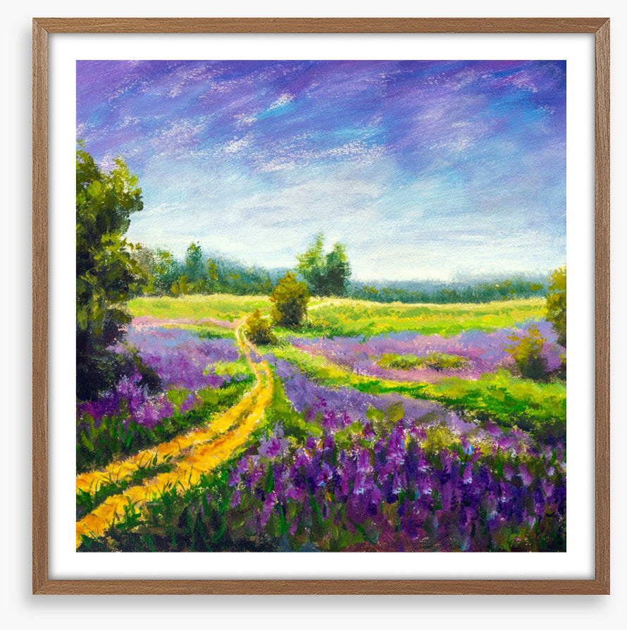Purple meadow path