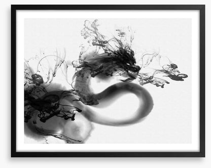 Shadow dragon