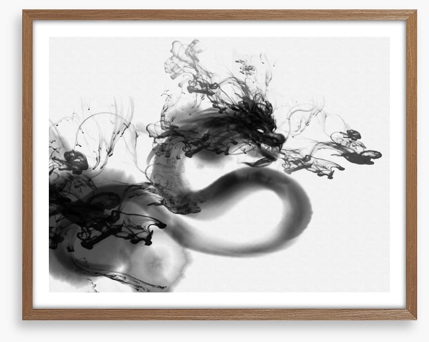 Shadow dragon