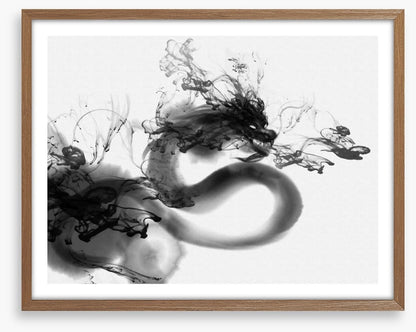 Shadow dragon
