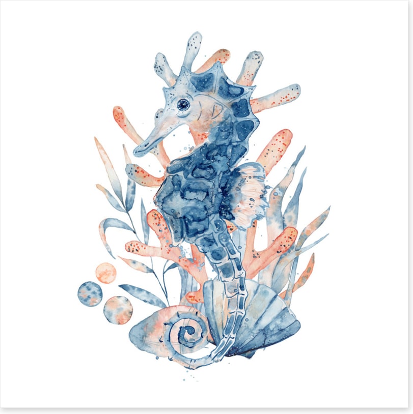 Seahorse blush