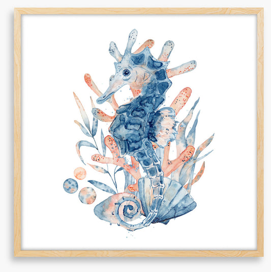 Seahorse blush