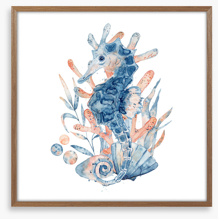 Seahorse blush