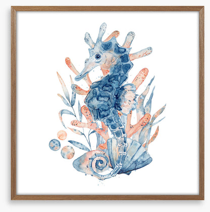 Seahorse blush