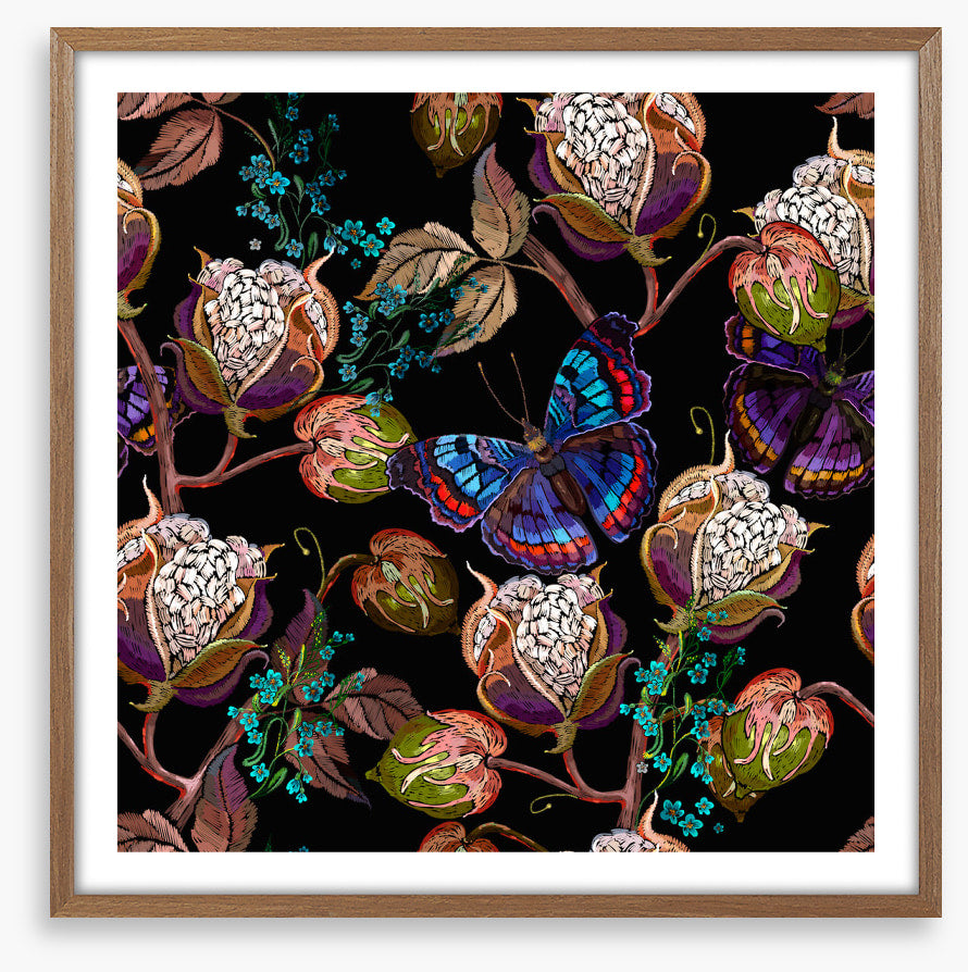 Butterflies