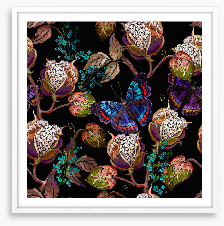 Butterflies