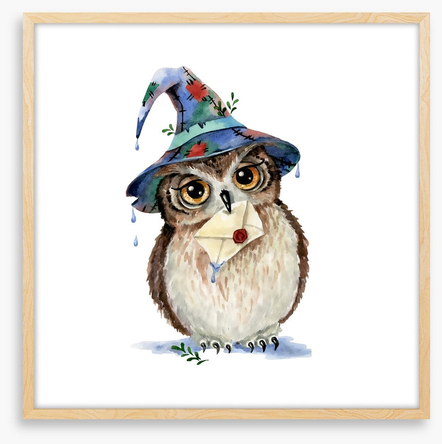 Wizard owl mail