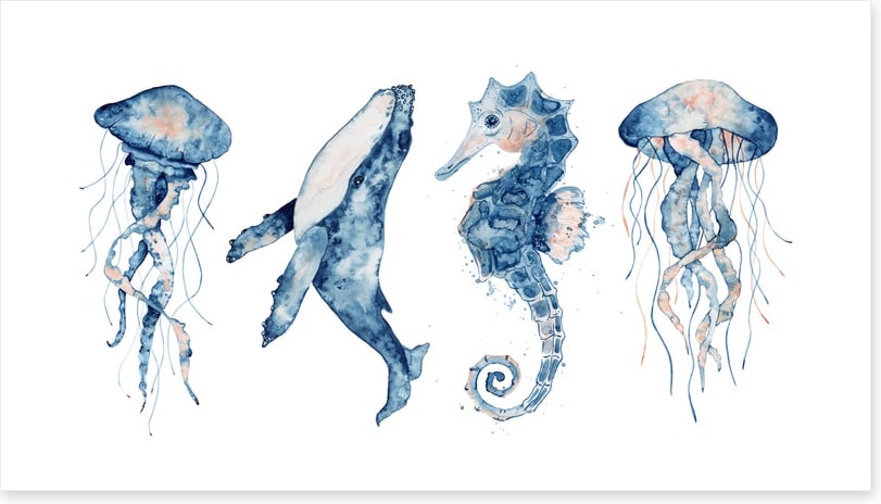 Sea life blush