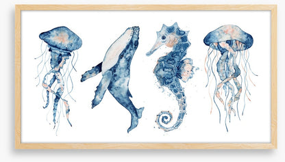 Sea life blush