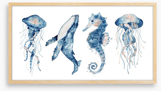 Sea life blush