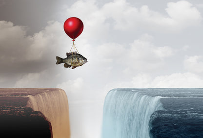 Overcoming adversity