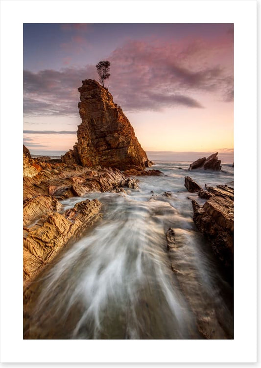 Seastack tree tide