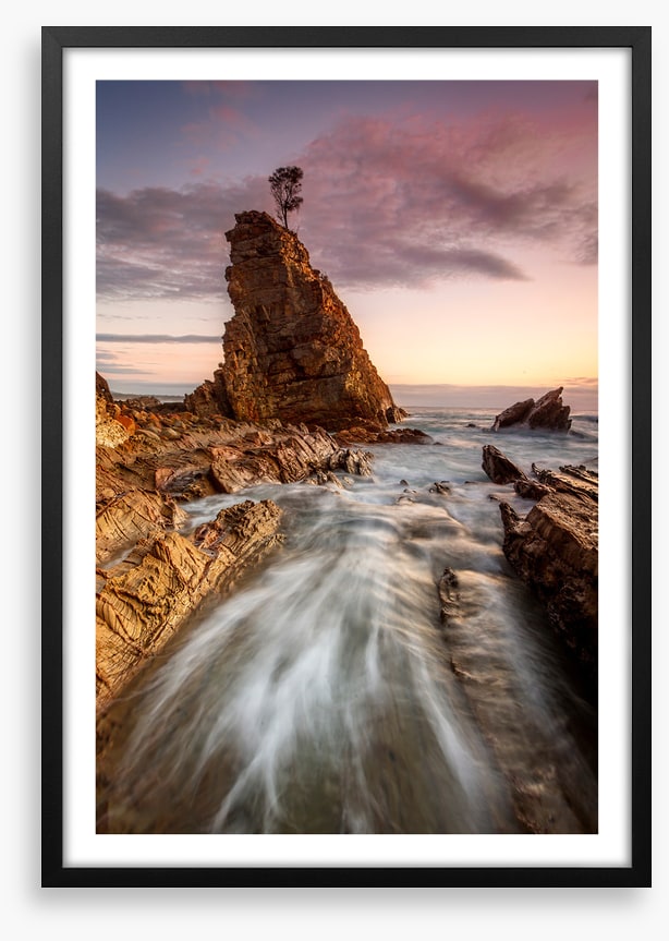 Seastack tree tide