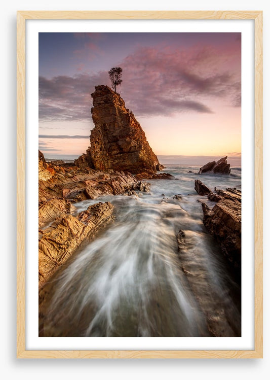 Seastack tree tide