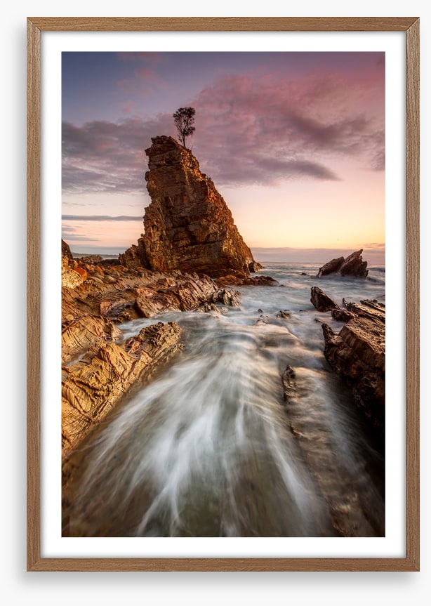 Seastack tree tide