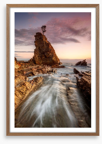 Seastack tree tide