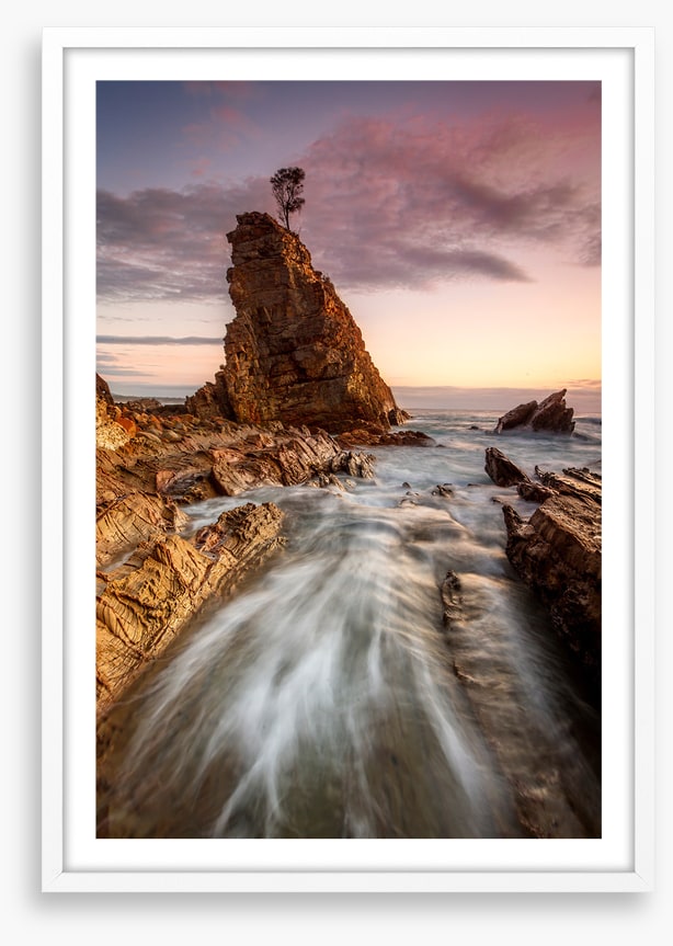 Seastack tree tide