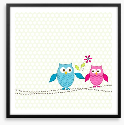 Pink owl in love