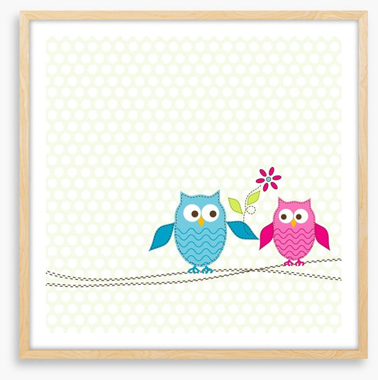 Pink owl in love