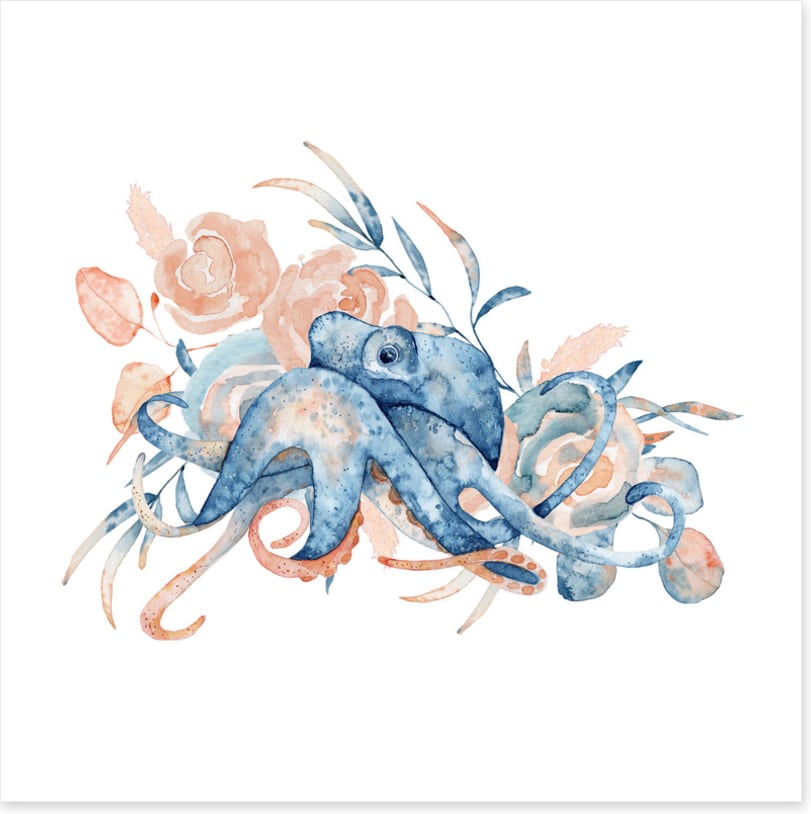 Octopus blush