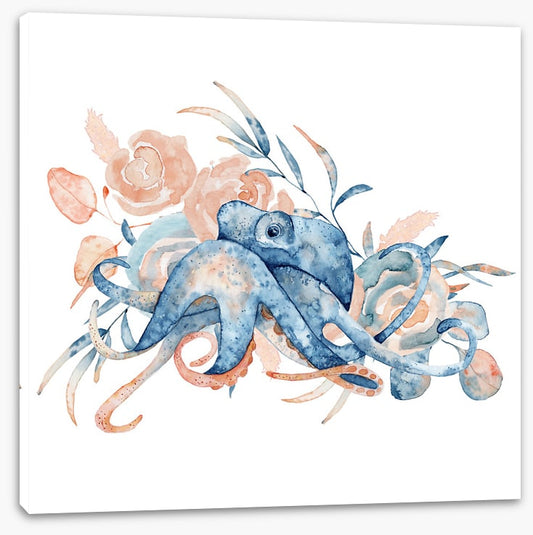 Octopus blush
