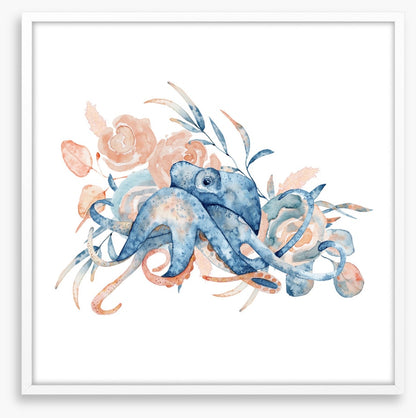 Octopus blush