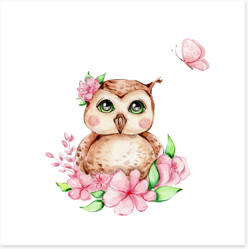 Owls