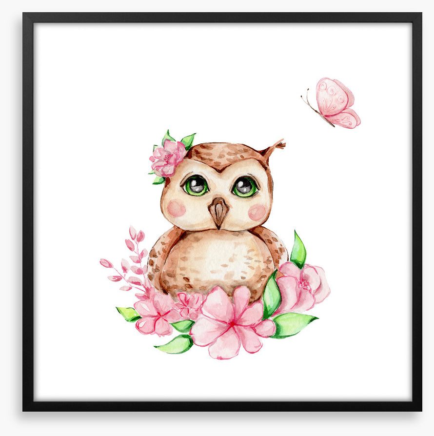 Owls