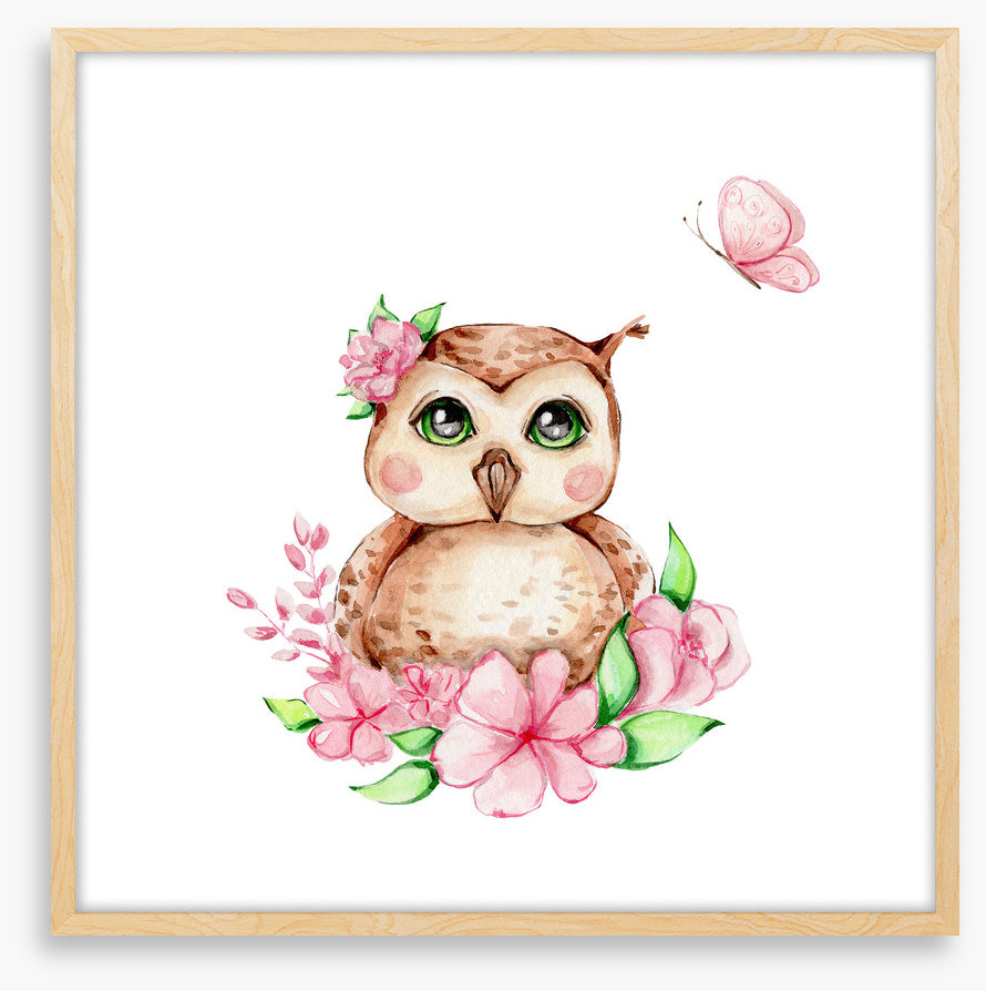 Owls