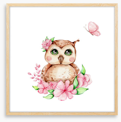 Owls