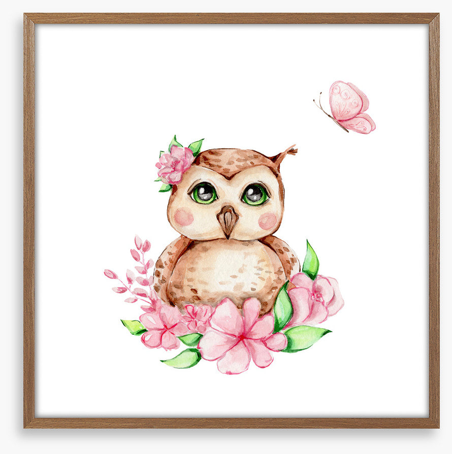 Owls