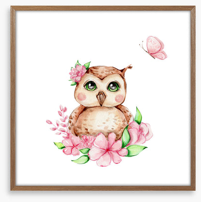 Owls