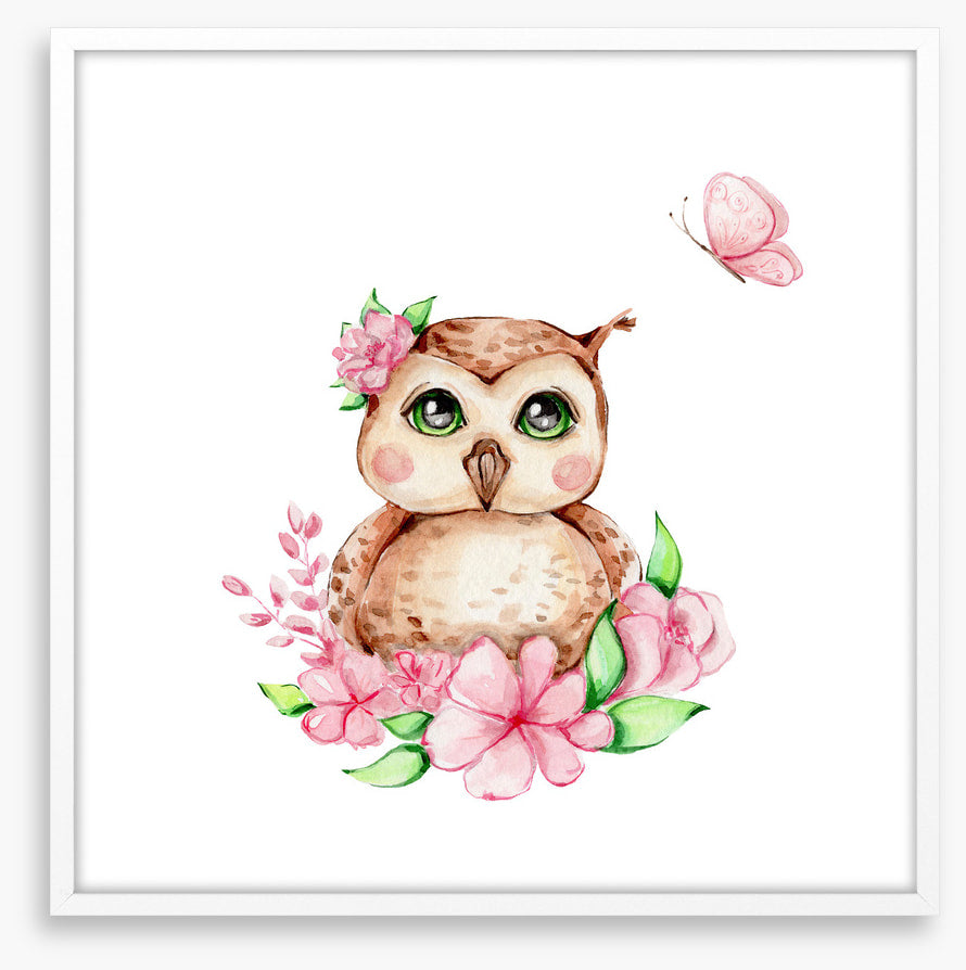Owls