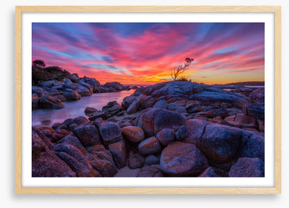 Binalong Bay sunrise