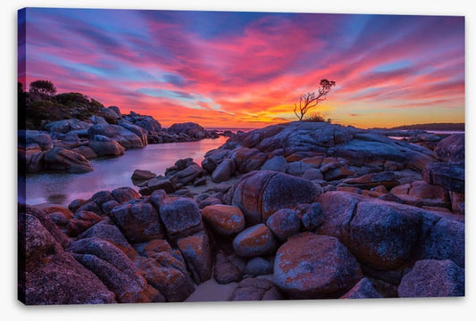 Binalong Bay sunrise