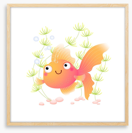 Goldfish grin