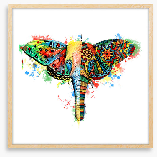 Elephant wings
