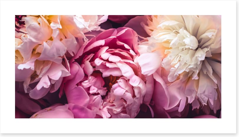 Love blooms 2