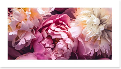 Love blooms 2