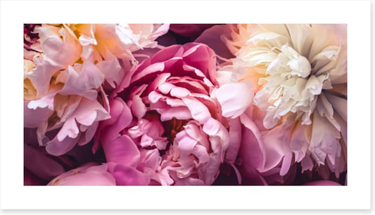 Love blooms 2