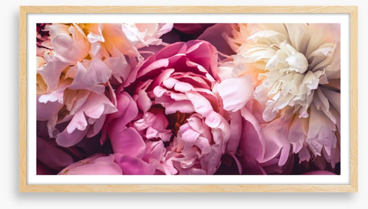 Love blooms 2