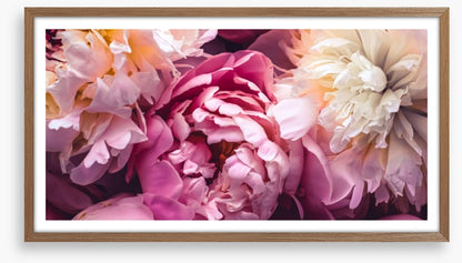 Love blooms 2