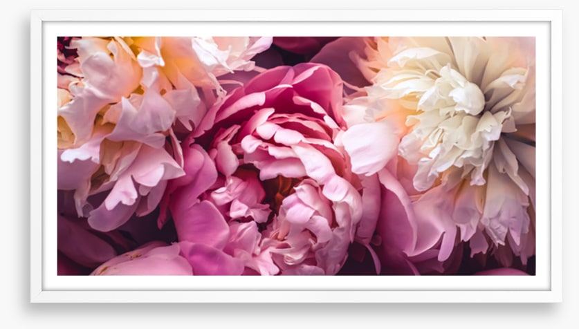 Love blooms 2