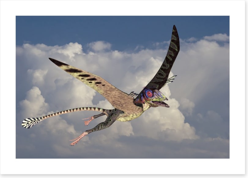 Peteinosaurus flight
