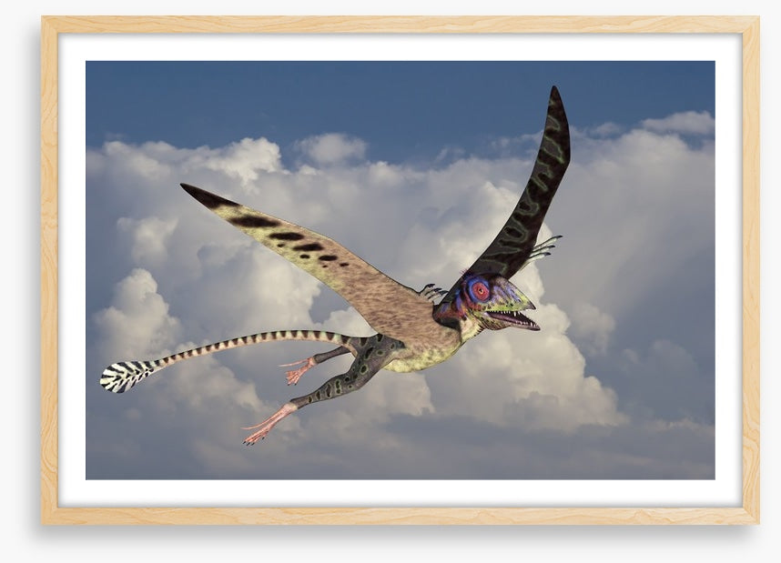 Peteinosaurus flight