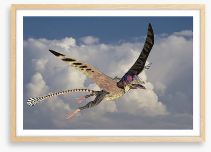 Peteinosaurus flight